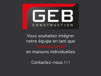 offre emploi commercial(e)